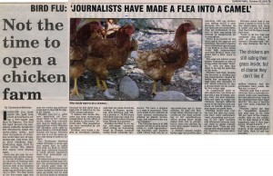 Bird Flu Chicken Farmer
