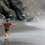 Black sand beach in Lost Coast