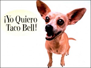 Taco Bell Chihuahua Dare 9 - Write an elegy to the Taco Bell Chihuahua