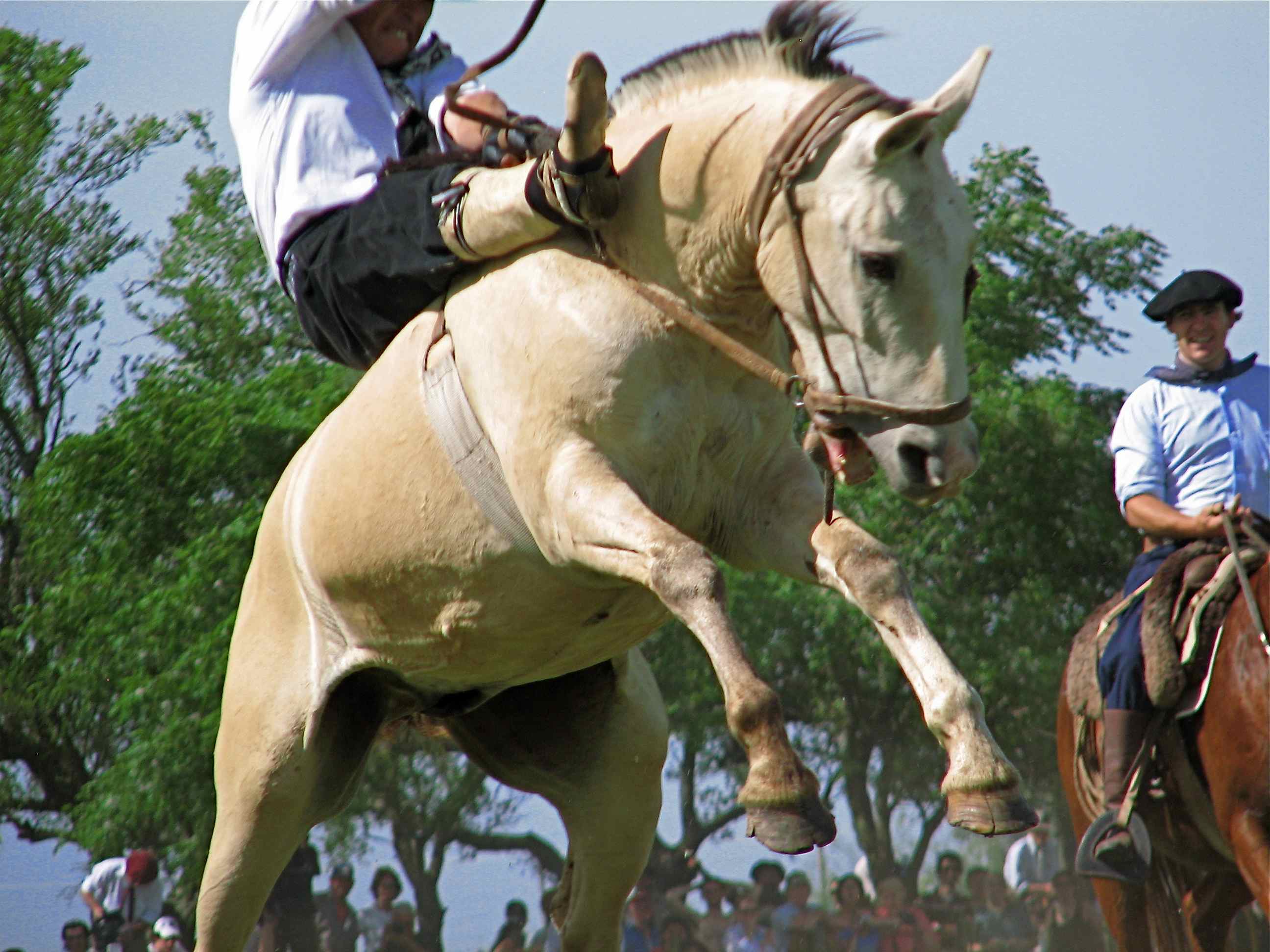 Gaucho Festival FOURTH NIGHT
